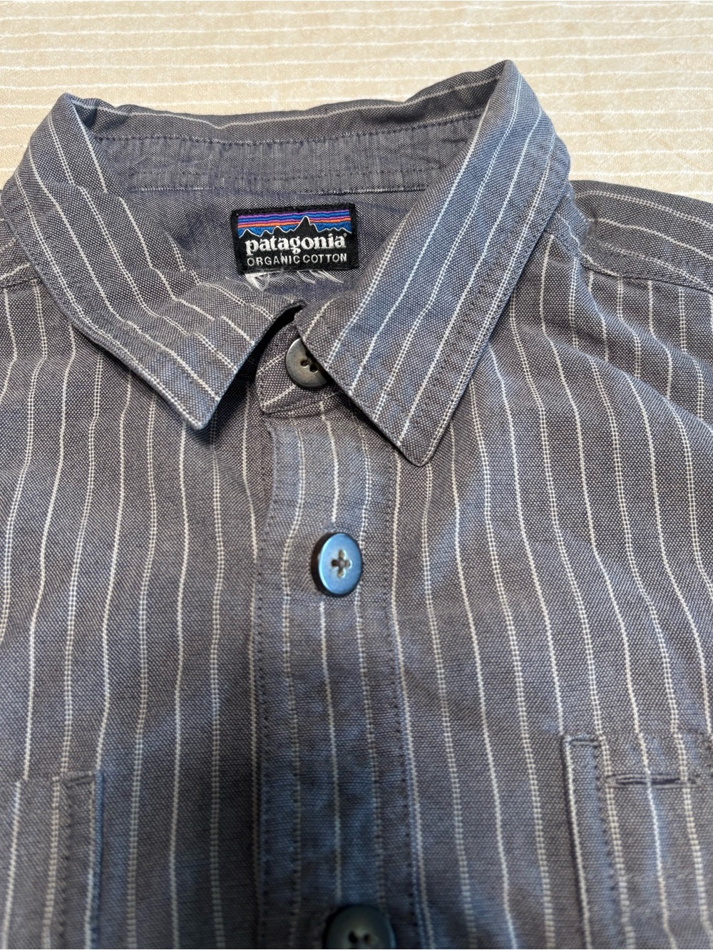 Patagonia Men’s Blue Gray Pinstripe Button-Down Shirt
